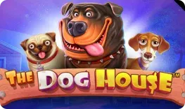 Spinsofglory – The Dog House